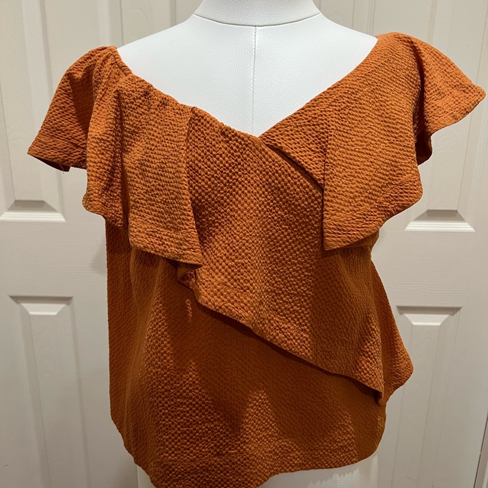 Cuyana Rust Textured Blouse